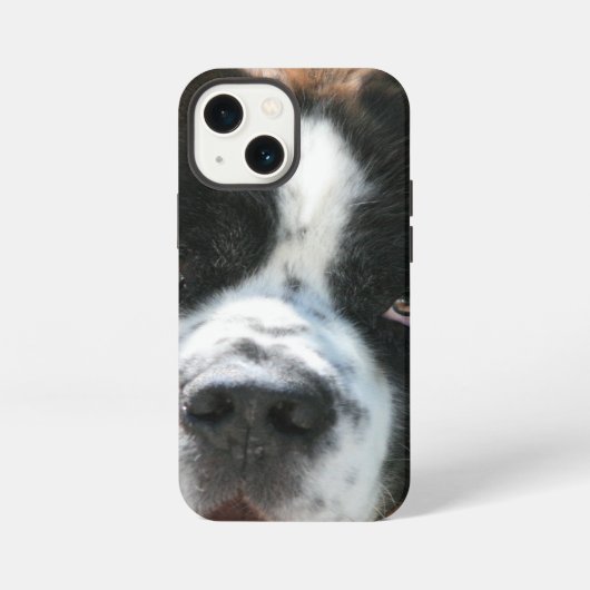 Bernhardiner Gesicht iPhone Hülle (Rückseite)