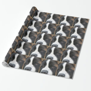 Bernhardiner-Hund Geschenkpapier