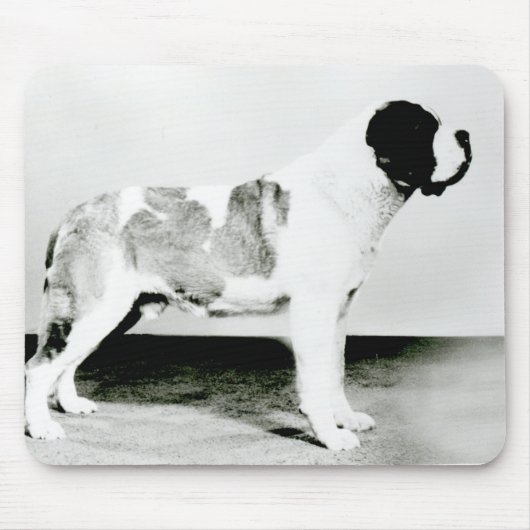 Bernhardiner-Hund Mousepad (Vorne)