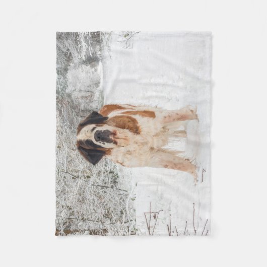 Bernhardiner-HundeFleecedecke Fleecedecke (Vorderseite)