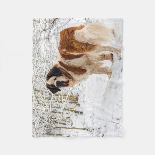 Bernhardiner-HundeFleecedecke Fleecedecke (Vorderseite)