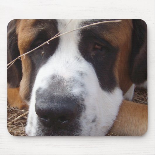 Bernhardiner-Hundemausunterlage Mousepad (Vorne)