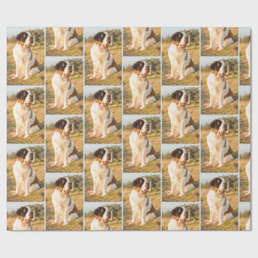 Bernhardiner-Hundeverpackung Geschenkpapier (Flach)