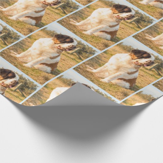 Bernhardiner-Hundeverpackung Geschenkpapier (Ecke)