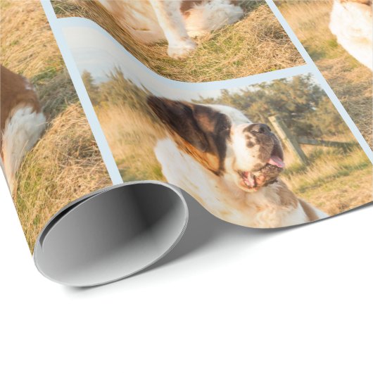 Bernhardiner-Hundeverpackung Geschenkpapier (Rolleneckpunkt)