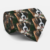 Bernhardiner Krawatte (Gerollt)