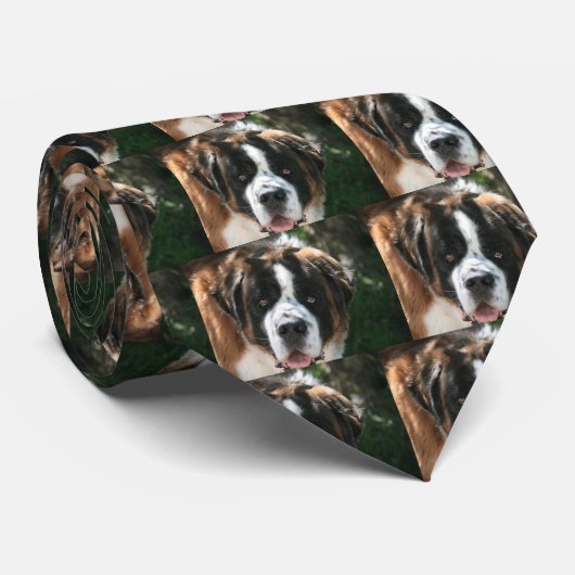 Bernhardiner Krawatte (Gerollt)