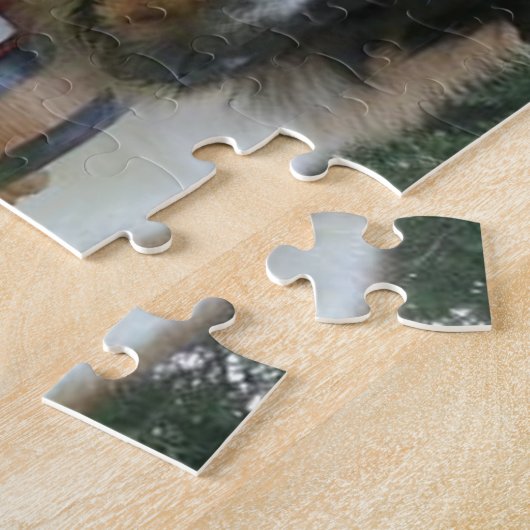 Bernhardiner Puzzle (Seite)