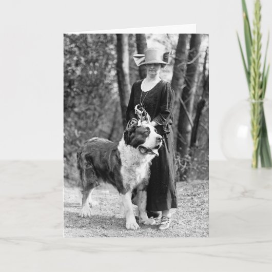 Bernhardiner u. Boston Terrier, 1925 Karte (Vorderseite)