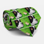 Bernhardiner- und Baby-Küken Krawatte (Gerollt)