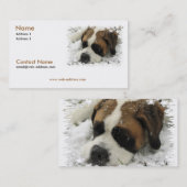 Bernhardiner-Visitenkarte Visitenkarte (Vorne/Hinten)