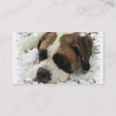 Bernhardiner-Visitenkarte Visitenkarte (Rückseite)