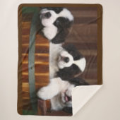 BERNHARDINER-WELPEN SHERPADECKE (Vorderseite)