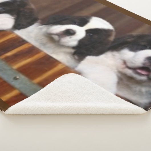 BERNHARDINER-WELPEN SHERPADECKE (3/4)