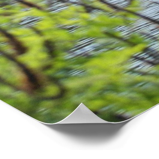 Bernheim Forest Pond Print Poster (Ecke)