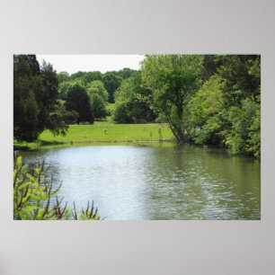 Bernheim Forest Pond Print Poster