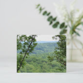 Bernheim Forest Postcard Postkarte (Stehend Vorderseite)