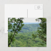 Bernheim Forest Postcard Postkarte (Vorne/Hinten)