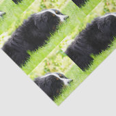 Bernhund auf Gras Seidenpapier (Detail)