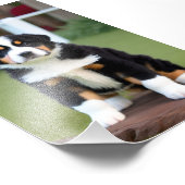 Bernice Mountain Puppy Satin Foto Erweiterung (Ecke)