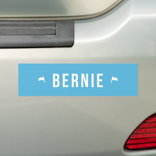 Bernie Autoaufkleber (Auf Auto)