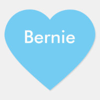 Bernie Autoaufkleber