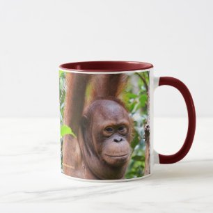 Bernie Orangutan Tasse