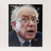 Bernie Sanders Puzzle (Vertikal)