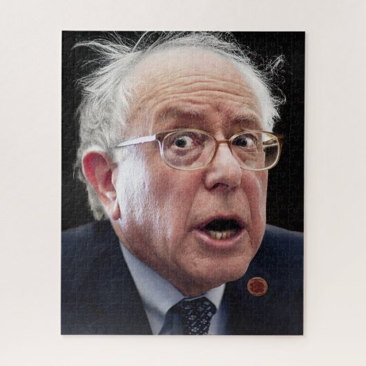 Bernie Sanders Puzzle (Vertikal)