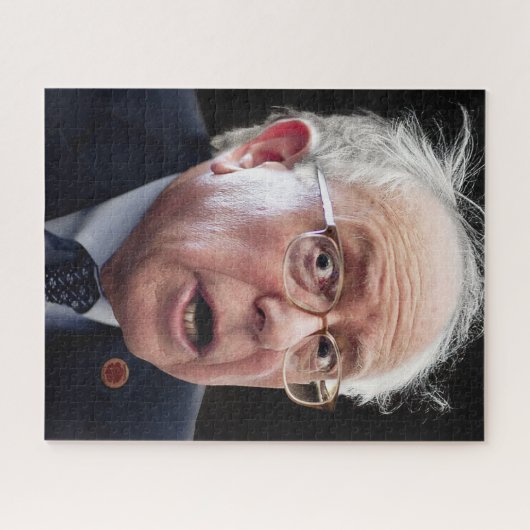 Bernie Sanders Puzzle (Horizontal)