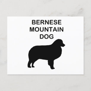 bernischer Berghund Silhouette mit Namen Postkarte