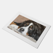 bernischer Hund Fußmatte (Schrägansicht)
