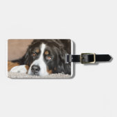bernischer Hund Gepäckanhänger (Vorderseite horizontal)