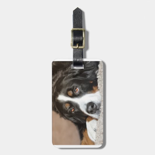 bernischer Hund Gepäckanhänger (Vorderseite vertikal)