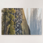 Bernkastel-Kues Puzzle (Horizontal)