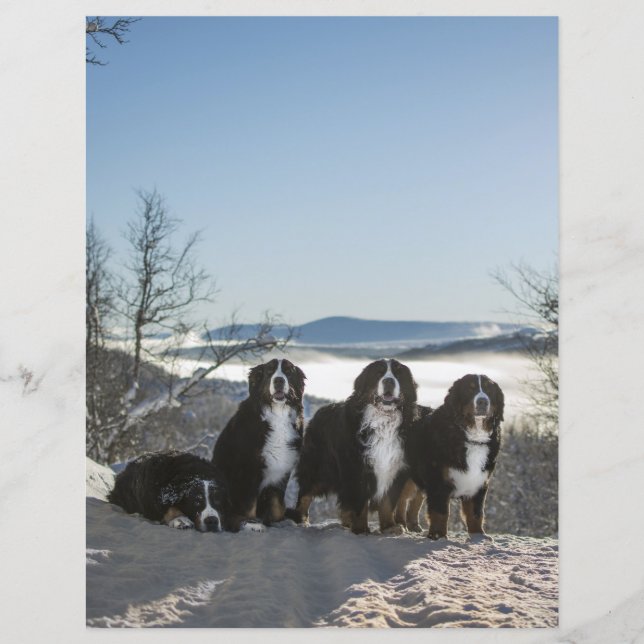 bernnisches Bücherbuch (Vorderseite)