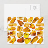 Bernsteineinschlüsse Postkarte (Vorne/Hinten)