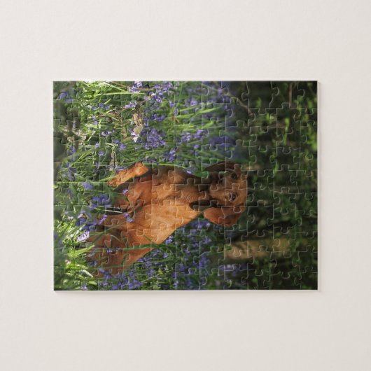 Bernsteinfarbig Puzzle (Horizontal)