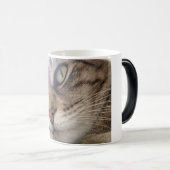 Bernsteinfarbig Verwandlungstasse (VorderseiteRechts)