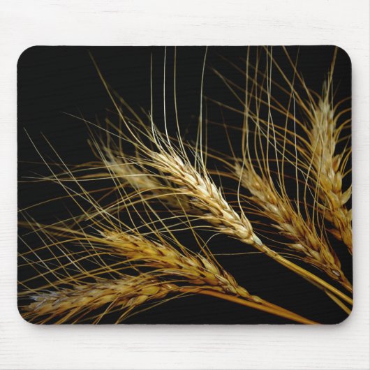 Bernsteinfarbige Wellen des Korn-Weizens Mousepad (Vorne)