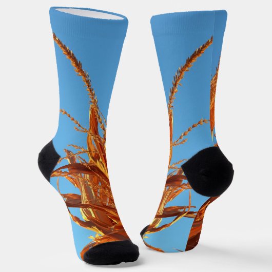 Bernsteinwellen socken (Gewinkelt)