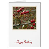 Berries Birthday Card (Vorne)