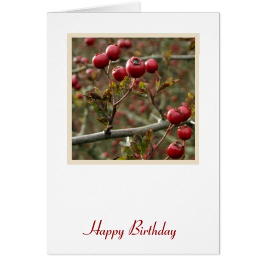 Berries Birthday Card (Vorne)