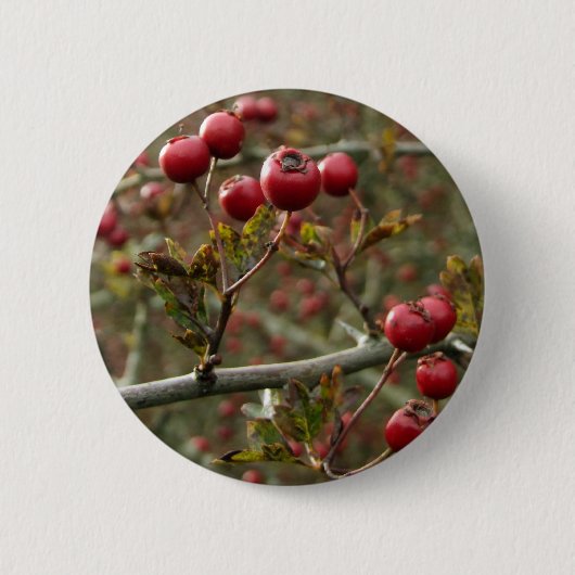 Berries Button (Vorderseite)