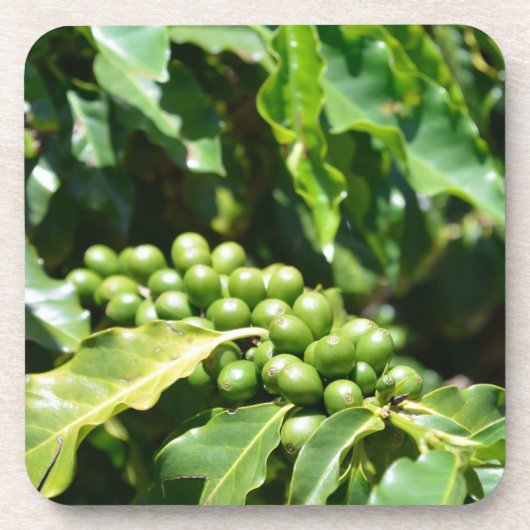 Berries Cork Untersetzer (Vorderseite)