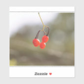 Berries fallen. aufkleber (Blatt)