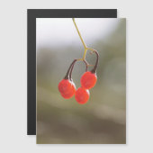 Berries fallen. magnetkarte (Vorne/Hinten)