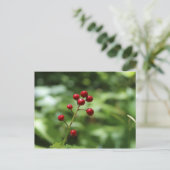 Berries im Berg Postkarte (Stehend Vorderseite)