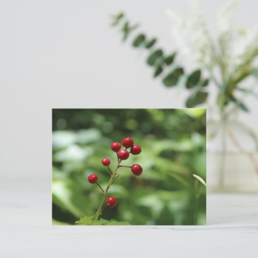 Berries im Berg Postkarte (Stehend Vorderseite)