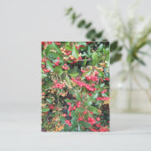 Berries im Park Postkarte (Stehend Vorderseite)